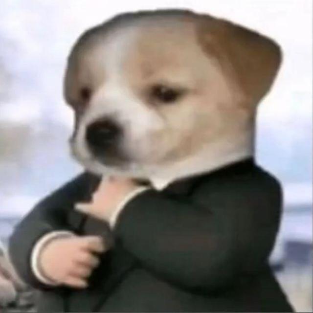 Picture of the TSEA Link team TSEA Link Pawfessionals